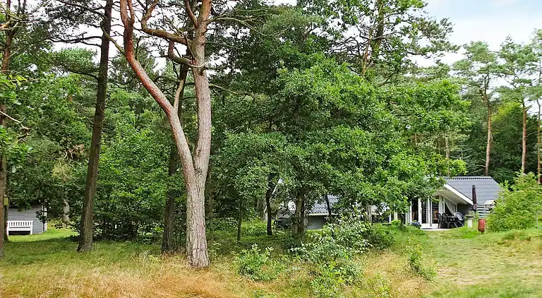 Holiday home in Brønderslev