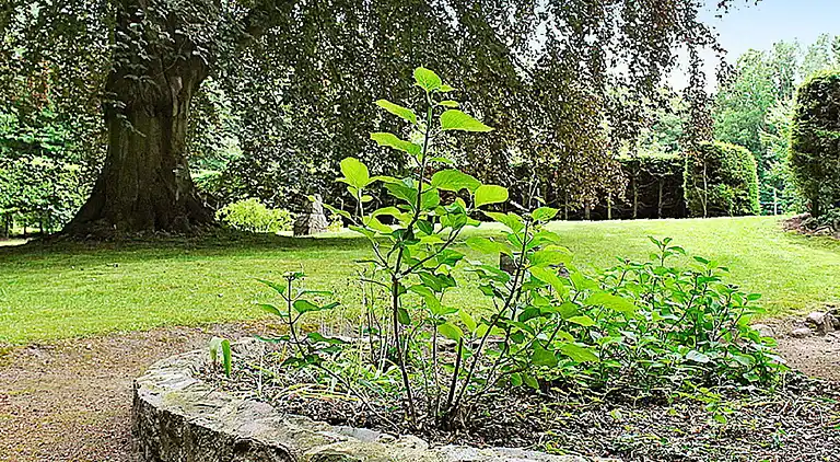 Vakantiehuis in Gronenberg