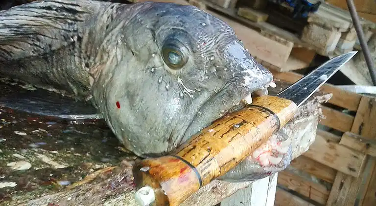 Holiday home in Vanylven