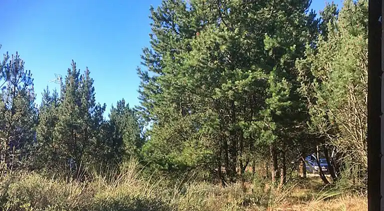 Sommerhus i Houstrup