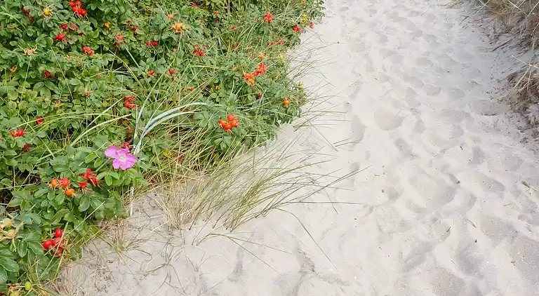 Holiday home in Falkenberg S