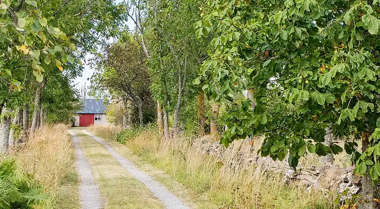 Holiday home in Borgholm N