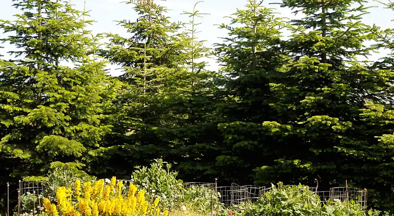 Semesterbostad i Kegnæs