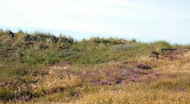 Sommerhus i Ringkøbing