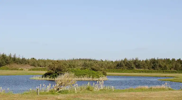 Sommerhus ved Vejers Strand