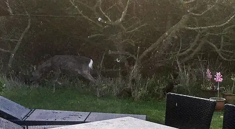 Holiday home in Blåvand