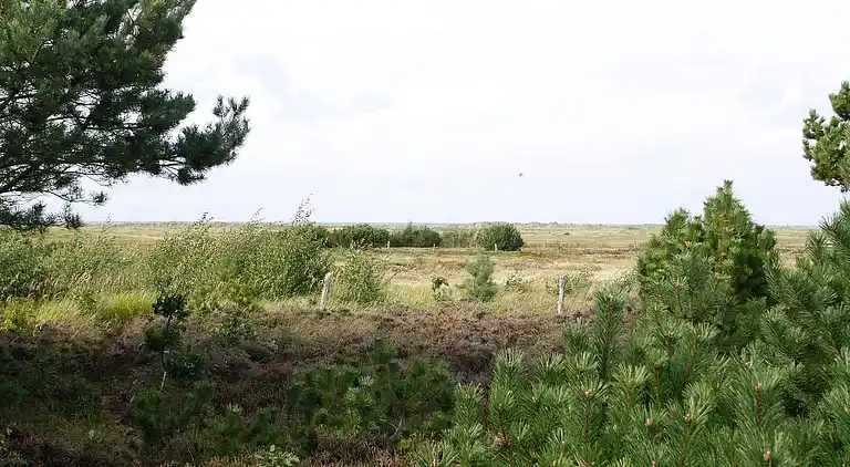Holiday home on Læsø