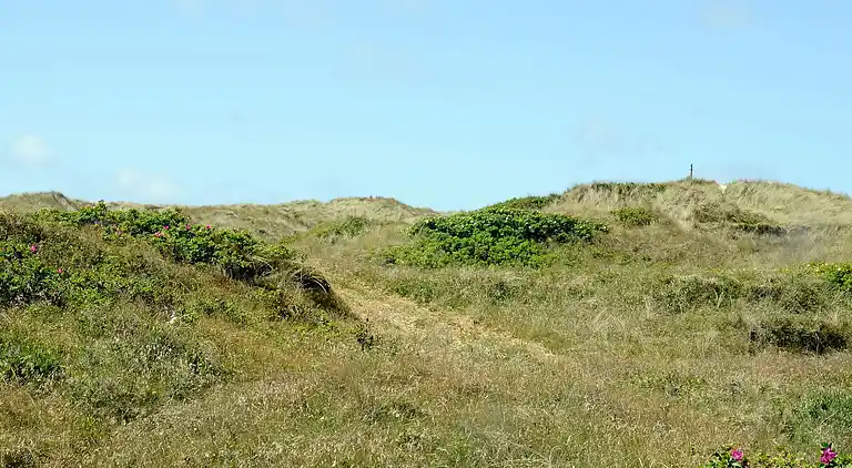Casa vacanze in Vejers Strand