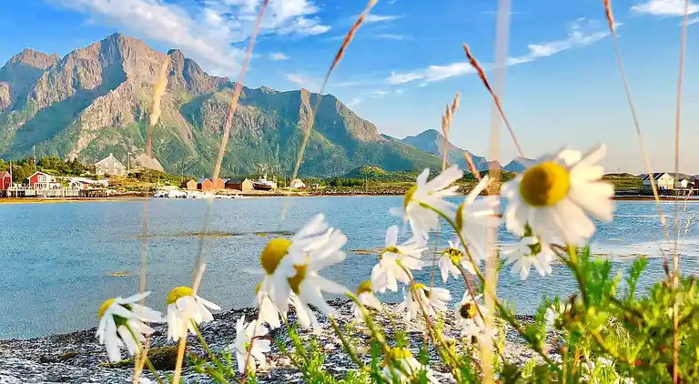Sommerhus i Hamarøy