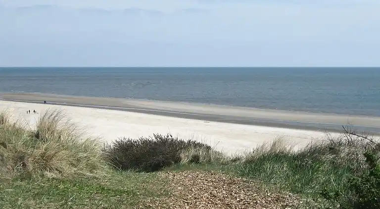 Sommerhus i Blåvand
