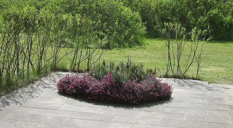 Sommerhus i Blåvand