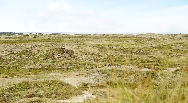 Semesterbostad i Ringkobing