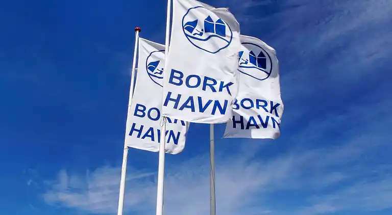 Sommerhus i Bork Havn
