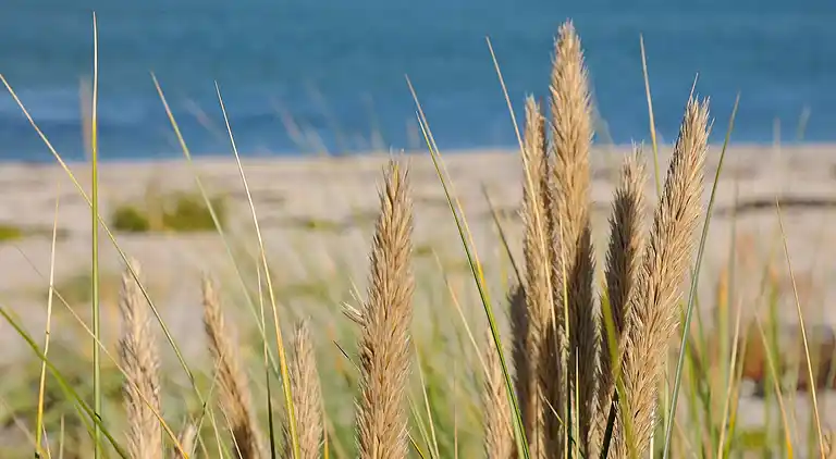 Holiday home in Hasmark Strand