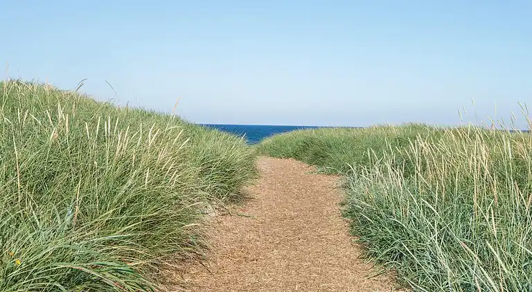 Sommerhus ved Vrist Strand
