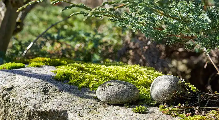 Semesterbostad i Allinge