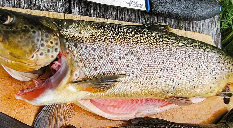 Holiday home in Nordreisa