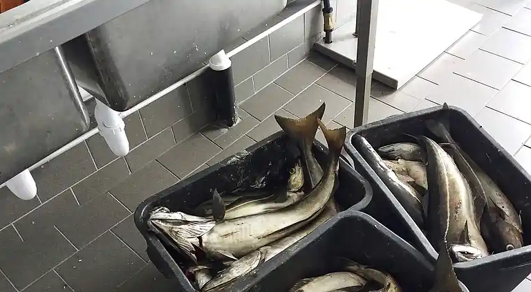 Sommerhus i Vanylven