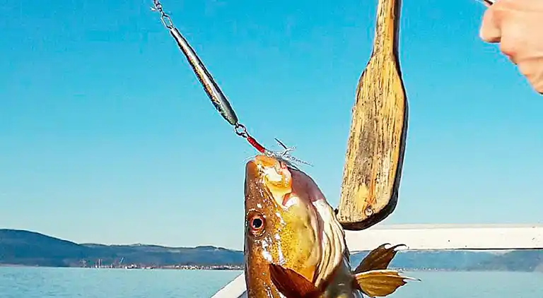 Sommerhus i Selbekken