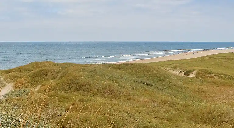 Ferienhaus am Vrist Strand