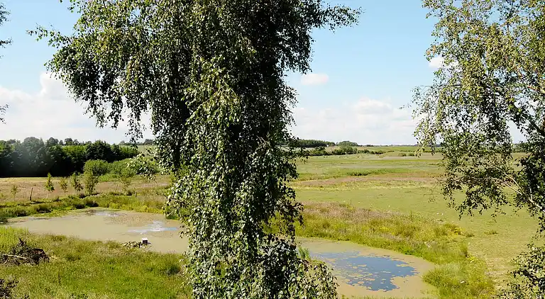 Holiday home in Christiansfeld