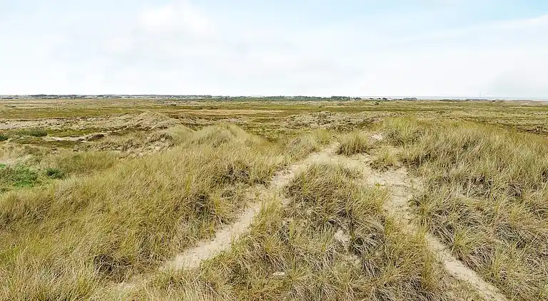 Semesterbostad i Ringkobing