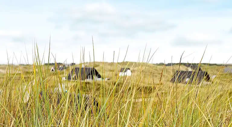 Holiday home in Ringkobing