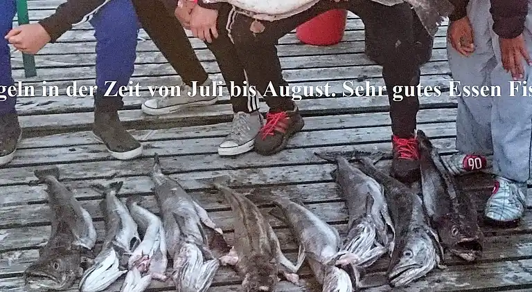 Holiday home in Helland