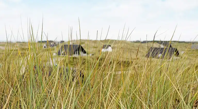 Holiday home in Ringkobing