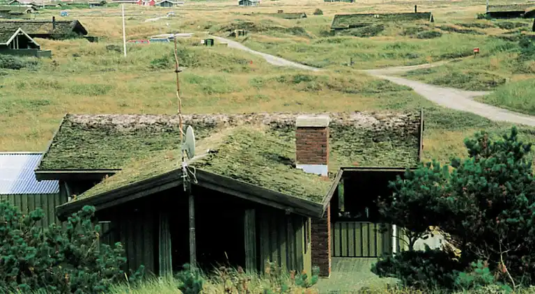Vakantiehuis in Blåvand
