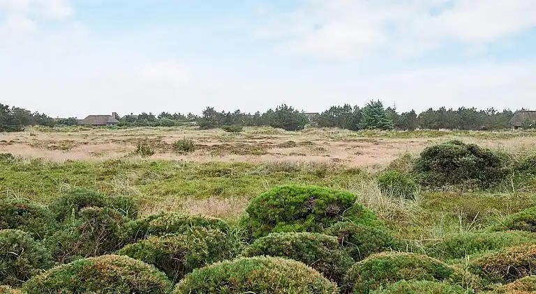Holiday home in Blåvand