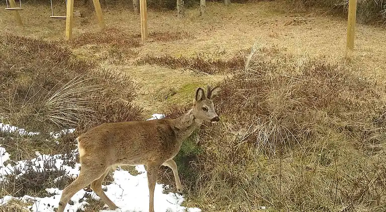 Holiday home in Blåvand