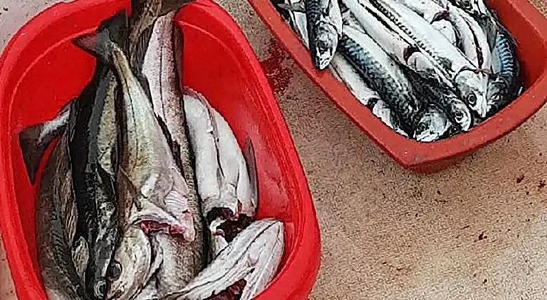 Holiday home in Helland