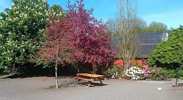 Semesterbostad i Allinge