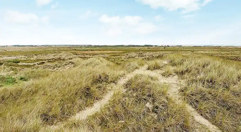 Holiday home in Ringkobing