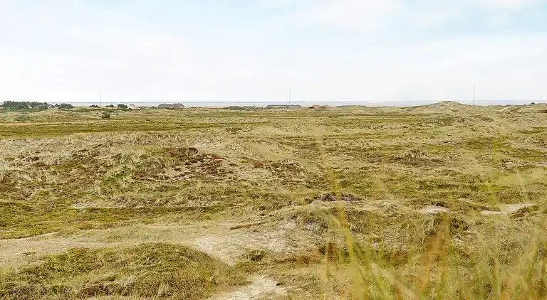 Holiday home in Ringkobing