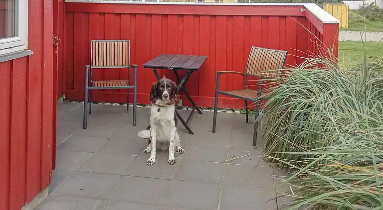 Holiday home in Harboøre