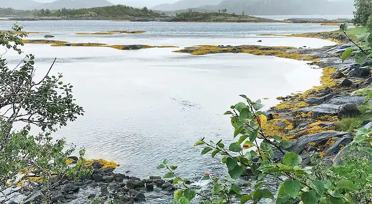 Sommerhus i Hamarøy