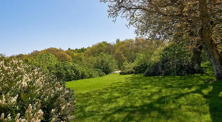 Semesterbostad i Allinge