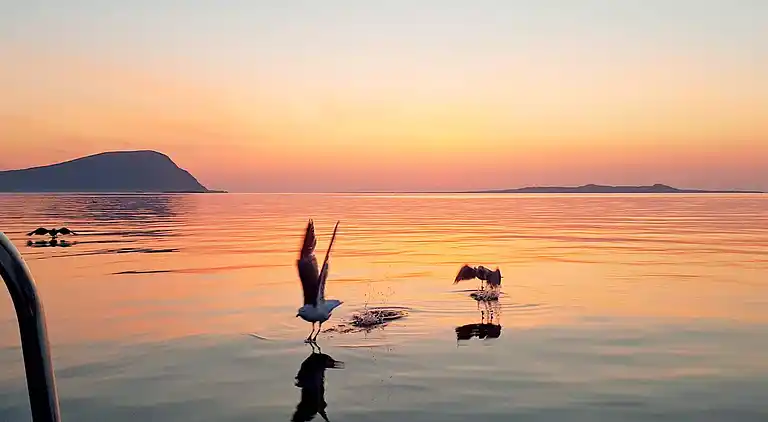 Holiday home in Helland