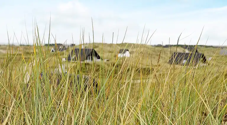 Semesterbostad i Ringkobing