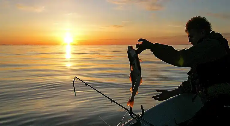 Holiday home in Hadsel