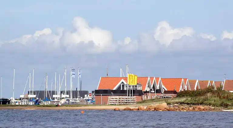 Holiday home in Bork Havn