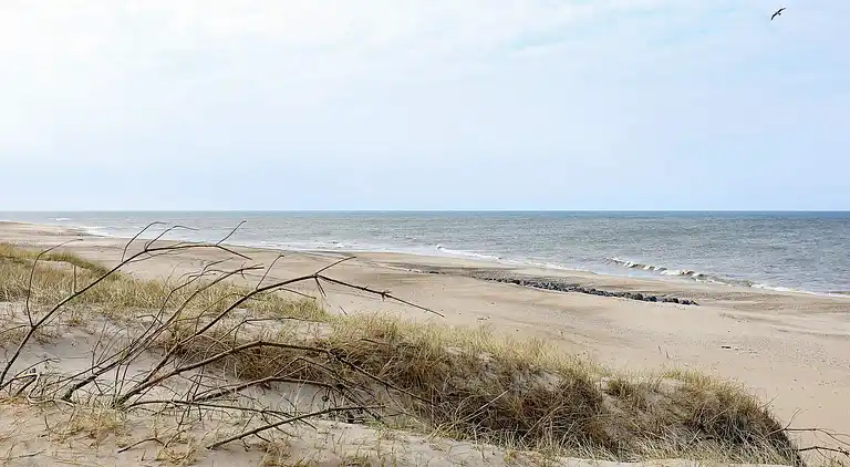 Ferienhaus am Vrist Strand