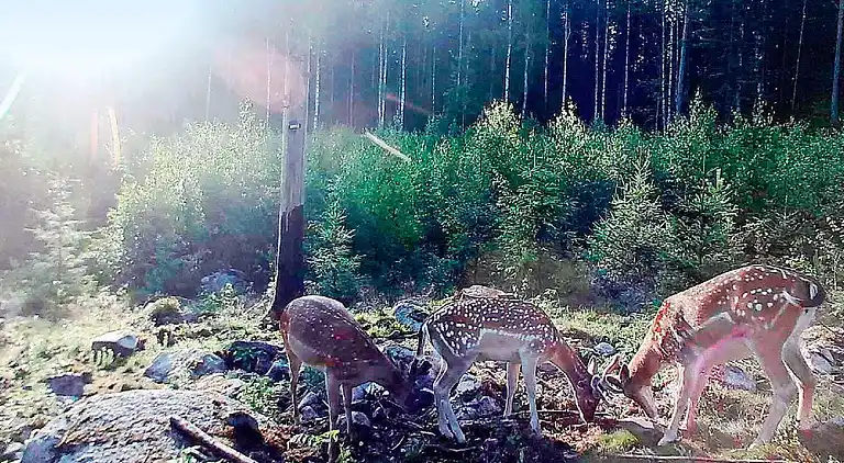 Casa vacanze in Södra Kärra