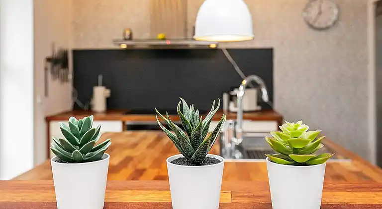 Vakantiehuis in Millinge