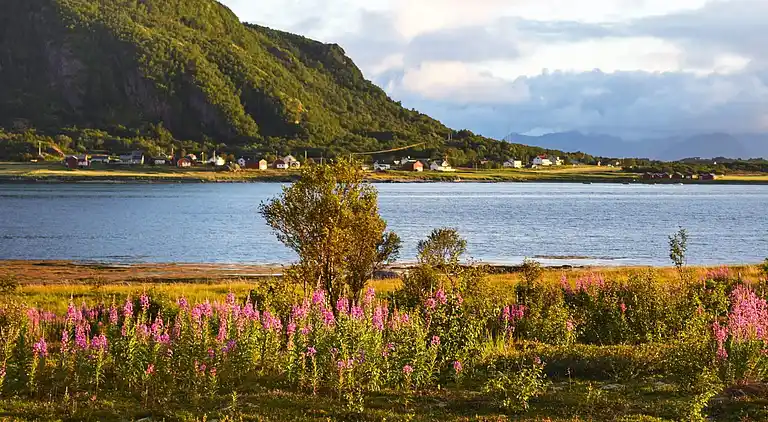 Holiday home in Hadsel