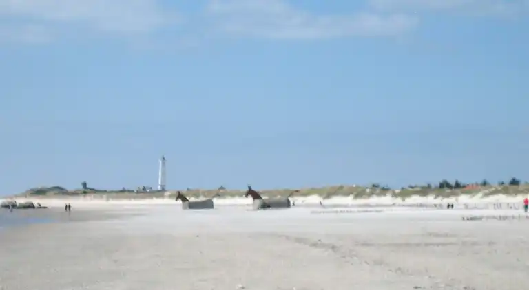 Sommerhus i Blåvand