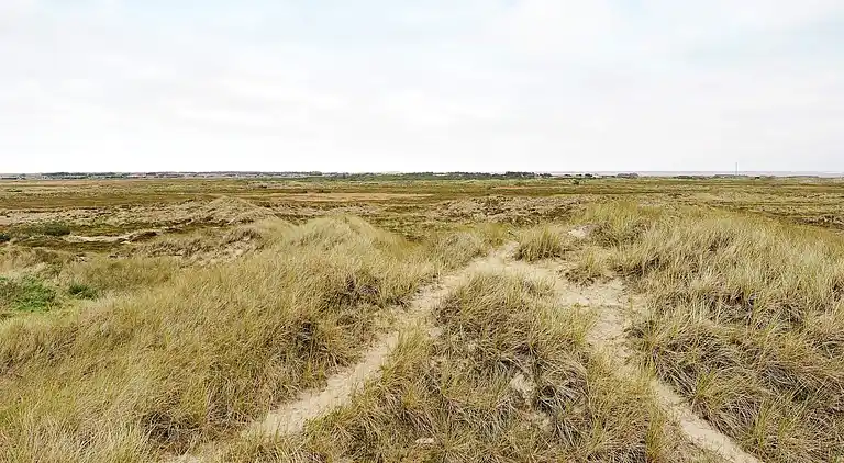 Holiday home in Ringkobing