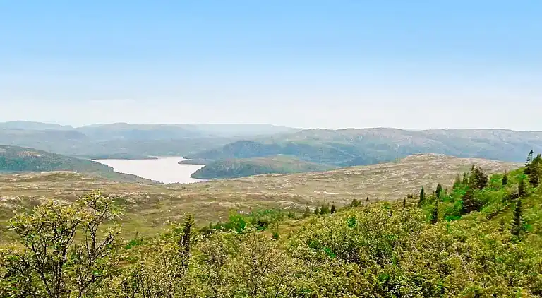 Sommerhus i Selbekken